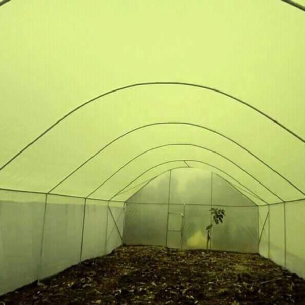 Plastic Film For Greenhouse - 图片 4