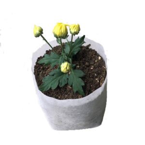 Degradable non-woven planting bag
